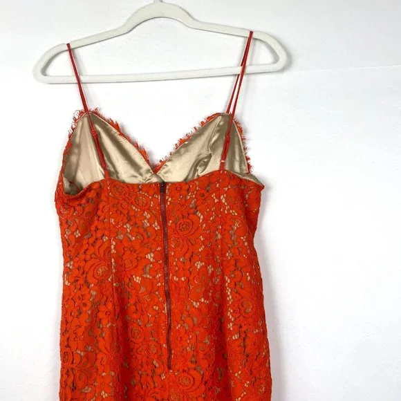 Bardot Sienna Lace Bodycon Spaghetti Strap Cocktail Midi Dress - Picture 7 of 10